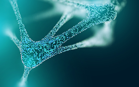Fulfilling the Promise: Real-World Data and Real-World Evidence in Action