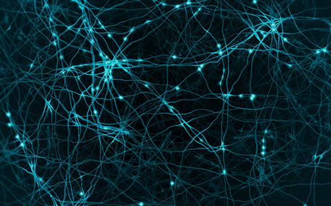 High Power and High Stakes: A Q&A on Machine Learning in Diagnostics